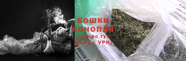 амф Верея