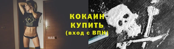 амф Верея