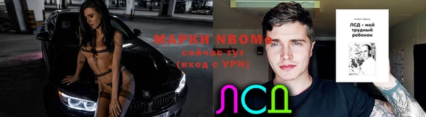 амф Верея