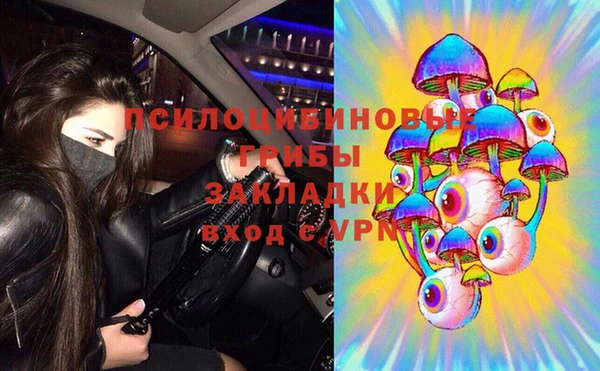 хмурый Бронницы