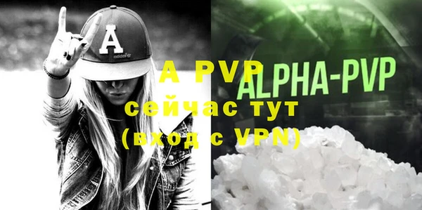 стафф Верхний Тагил