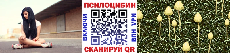 что такое   omg ТОР  Псилоцибиновые грибы GOLDEN TEACHER  Новосокольники 